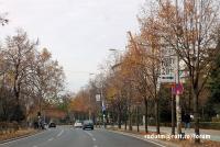 Imagine atasata: ripensia-24nov (4).JPG